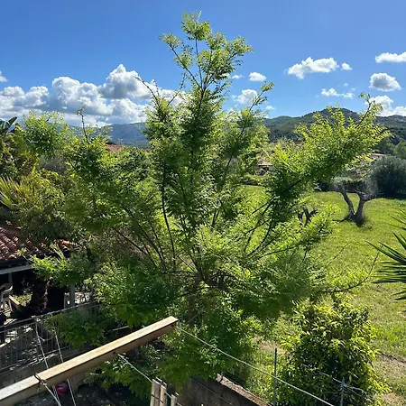 Vicino Al Mare Parmenide House